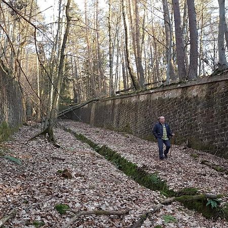 Chambre Avec Grand Lit Soultz-sous-Forets Bagian luar foto