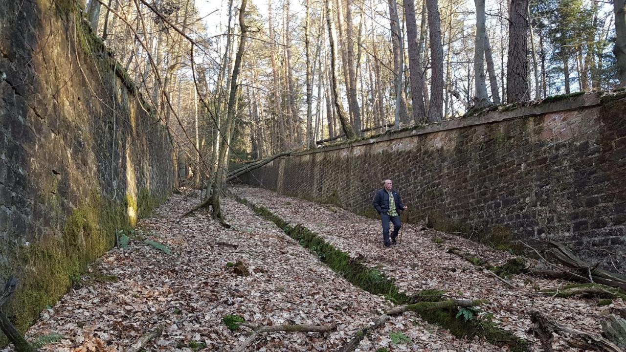 Chambre Avec Grand Lit Soultz-sous-Forets Bagian luar foto